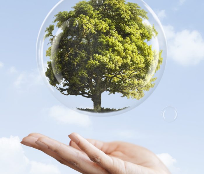 Earth day campaign hand showing tree in a bubble media mix