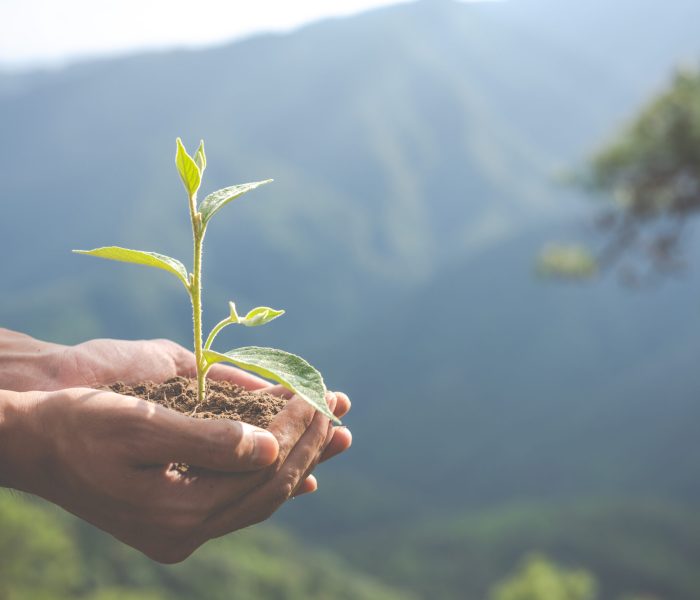 Concept of environmental conservation in the garden for children.